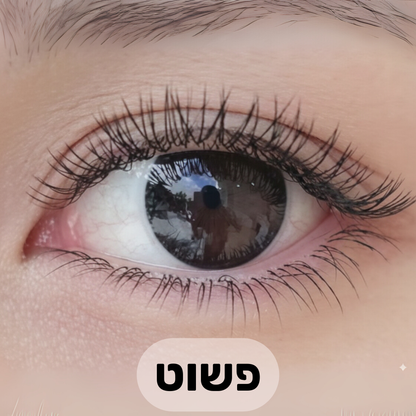 הריסים המגנטיים של LAVIÉRE