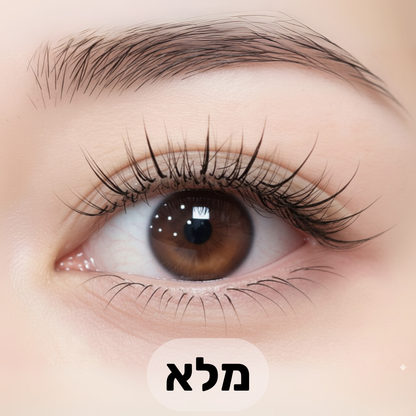 הריסים המגנטיים של LAVIÉRE